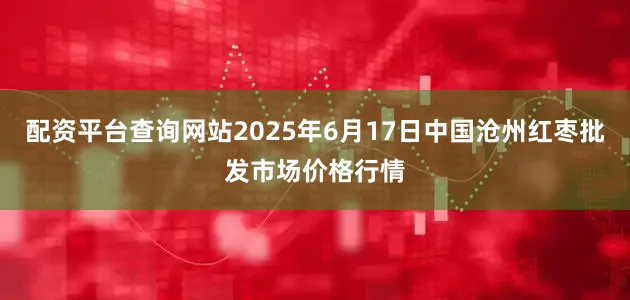 配资平台查询网站2025年6月17日中国沧州红枣批发市场价格行情