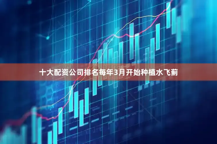 十大配资公司排名每年3月开始种植水飞蓟