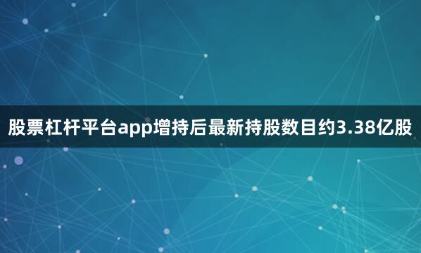 股票杠杆平台app增持后最新持股数目约3.38亿股
