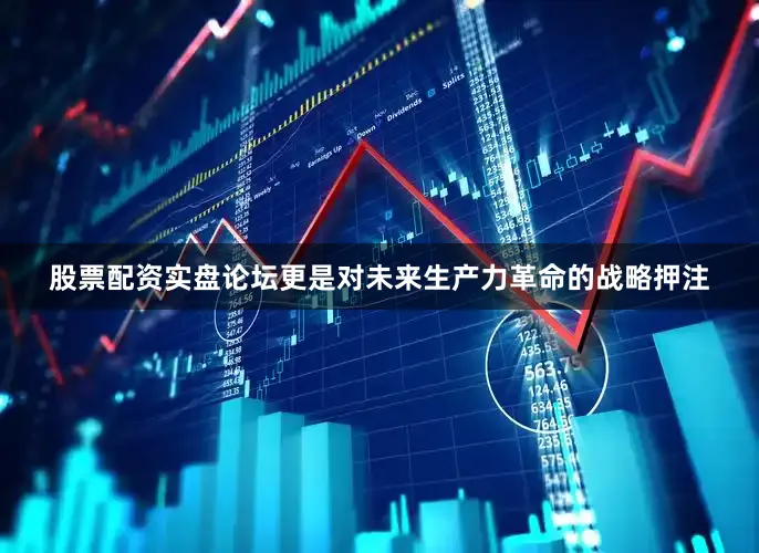 股票配资实盘论坛更是对未来生产力革命的战略押注