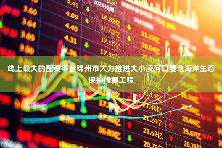 线上最大的配资平台锦州市大力推进大小凌河口湿地海洋生态保护修复工程