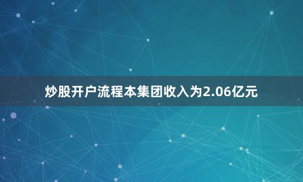 炒股开户流程本集团收入为2.06亿元