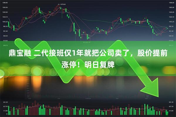鼎宝融 二代接班仅1年就把公司卖了，股价提前涨停！明日复牌
