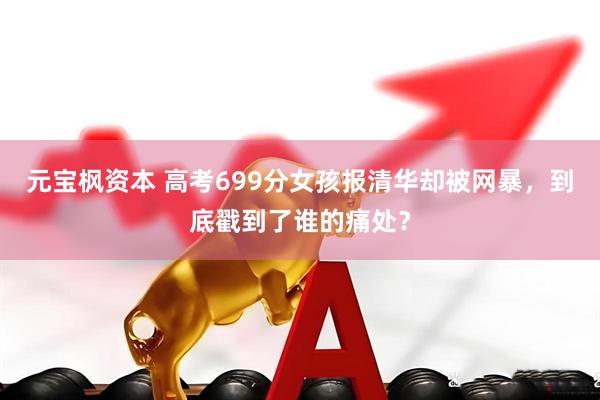 元宝枫资本 高考699分女孩报清华却被网暴，到底戳到了谁的痛处？