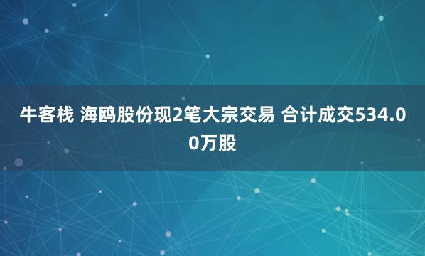 牛客栈 海鸥股份现2笔大宗交易 合计成交534.00万股